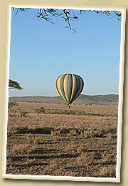 baloon safaris in serengeti national park